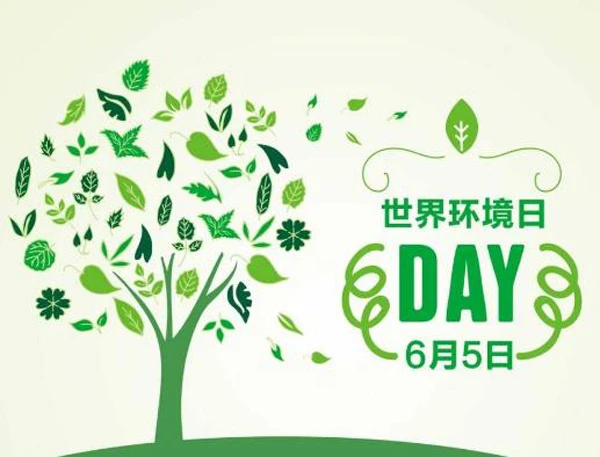 208.webp